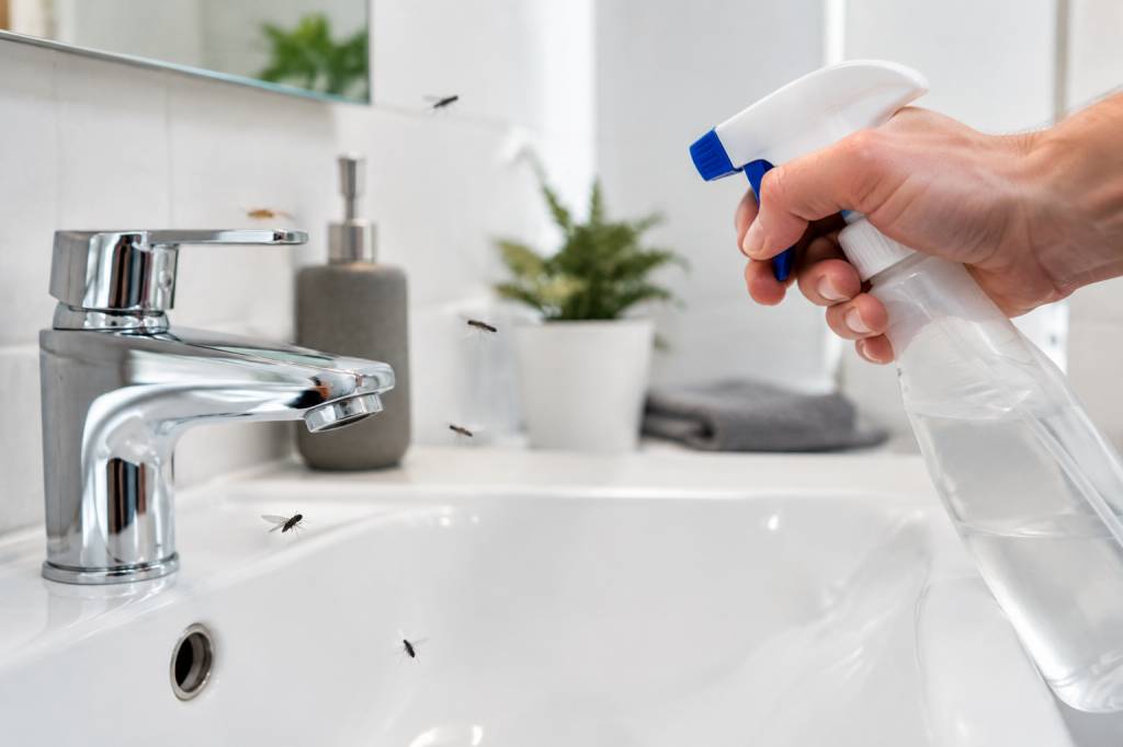 Moucheron salle de bain : comment s’en débarrasser ?